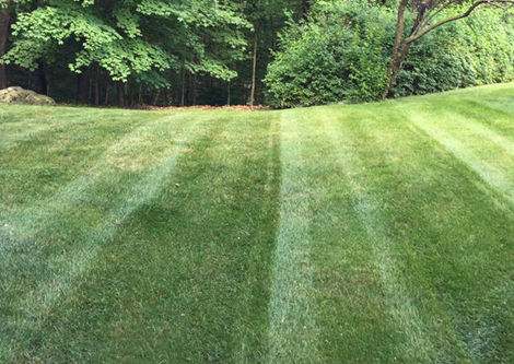 LAWN CARE | SHERMAN, CT | LAWN MOWING SERVICES | (607) 435-1731