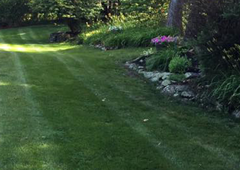 LAWN CARE | NEW MILFORD, CT | LAWN MOWING SERVICES | (607) 435-1731